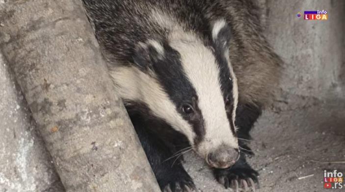 Screenshot 2026-02-24 084859.png