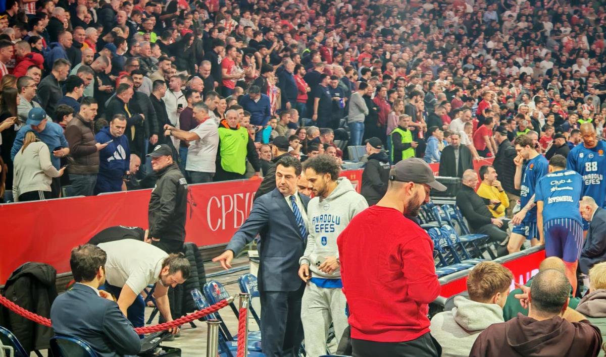 WhatsApp Image 2026-02-25 at 20.27.12.jpeg