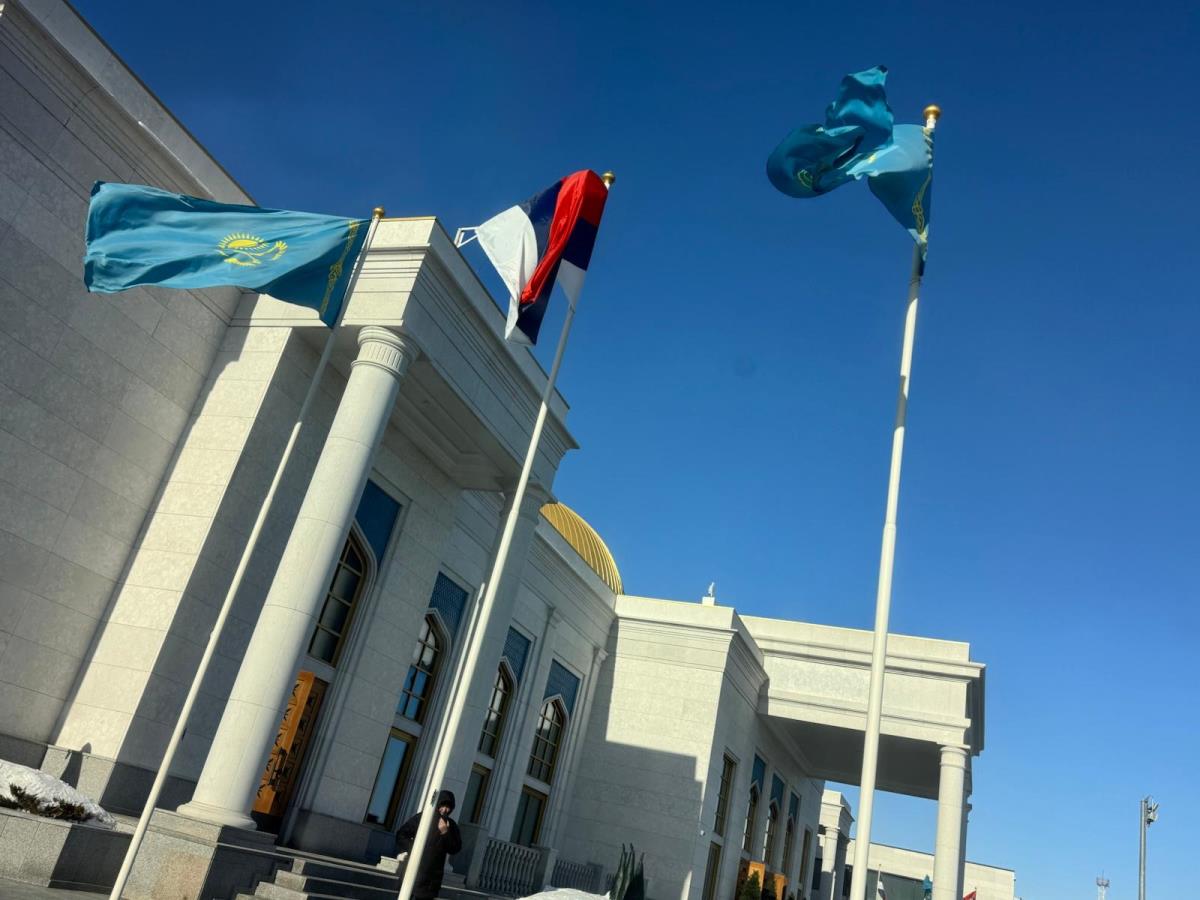 WhatsApp Image 2026-02-26 at 12.02.50.jpeg