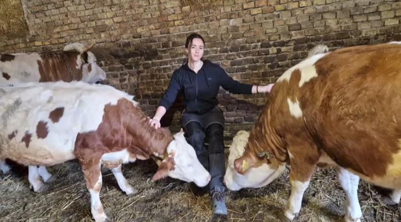 Screenshot 2026-02-26 140411.png