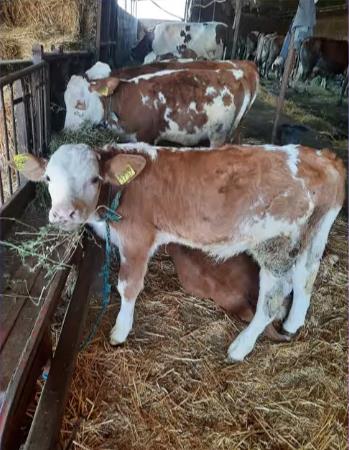 Screenshot 2026-02-26 140425.png