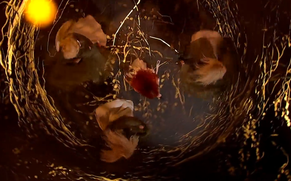 Screenshot 2026-02-26 220159.png