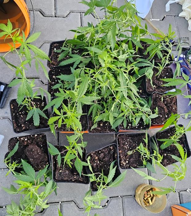 Krijumčarenje narkotika i oružja