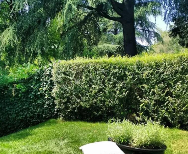 Jelena Tomašević i Ivan Bosiljčić