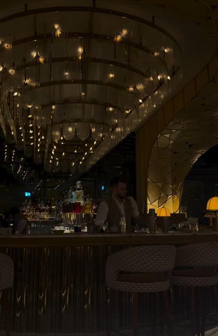 Đina Džinović u Dubaiju