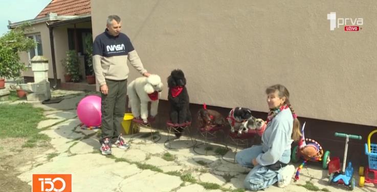 Cirkus u selu Klenak