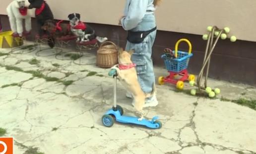 Screenshot 2026-03-03 144046.png