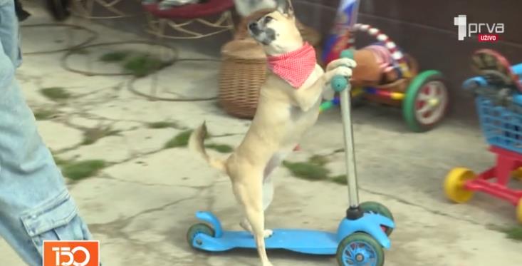 Screenshot 2026-03-03 144056.png