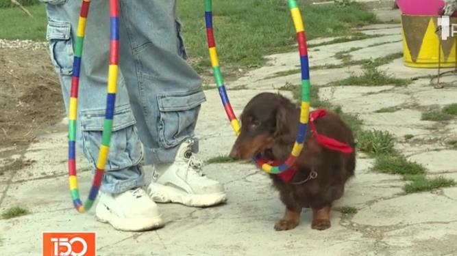 Screenshot 2026-03-03 144102.png