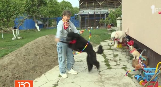 Screenshot 2026-03-03 144126.png