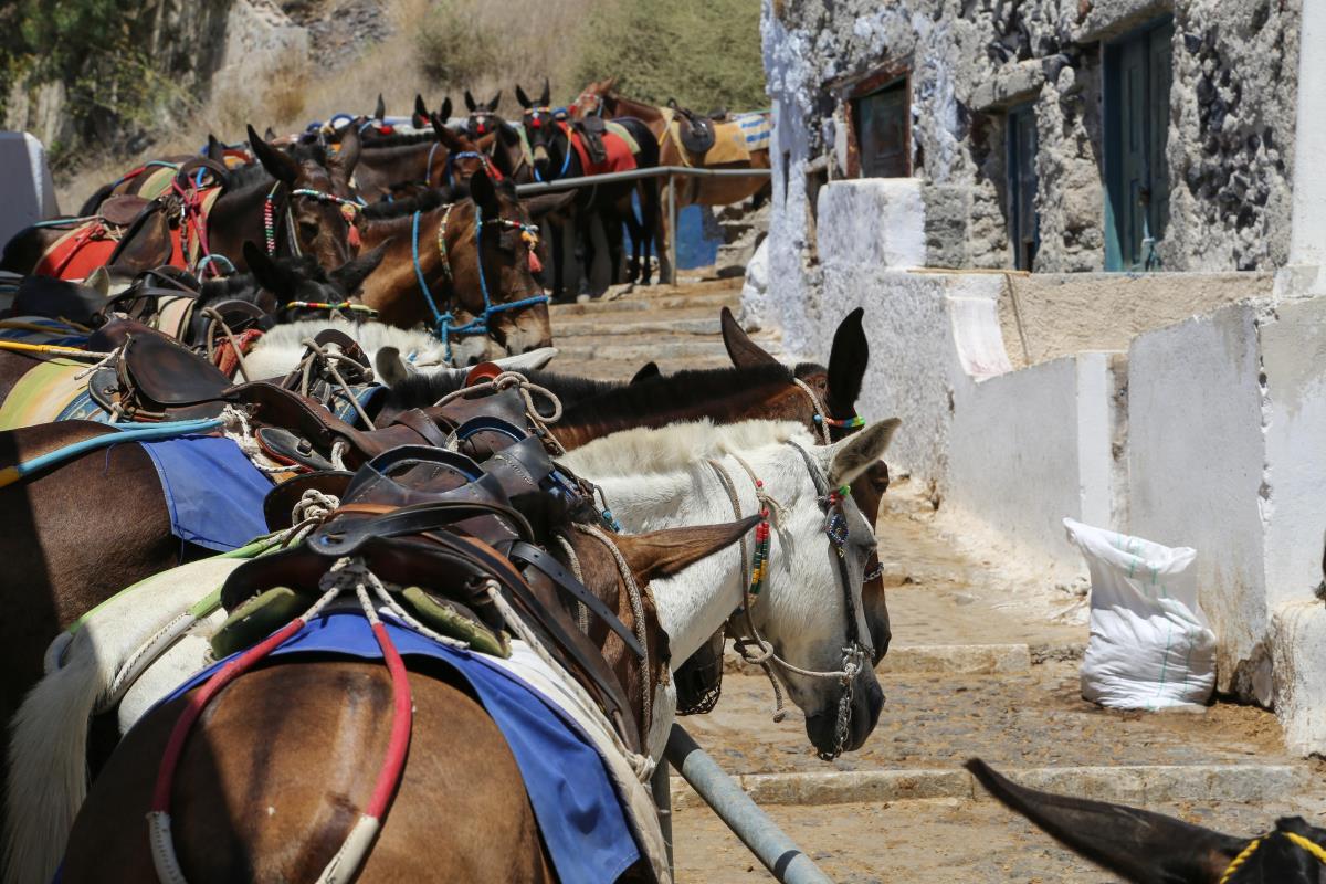 profimedia-0319008157 (1).jpg