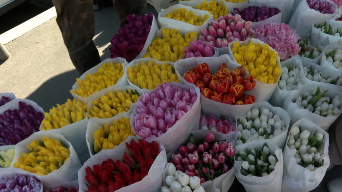 Sequence 01.01_47_49_08.Still004.jpg