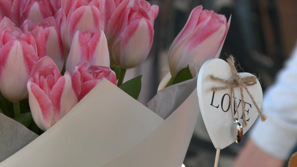 Sequence 01.01_48_35_13.Still006.jpg