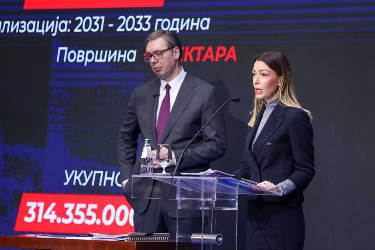 Strategija Srbija 2023 Aleksandar Vučić (5).jpeg