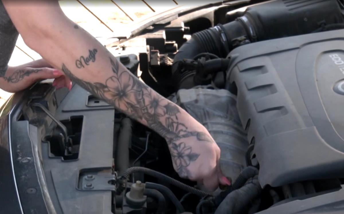 Screenshot 2026-03-08 192856.jpg