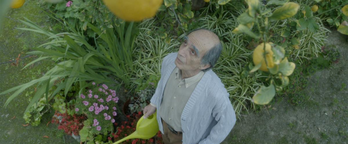 Festival kiparskog filma Filmski horizonti – novi kiparski film