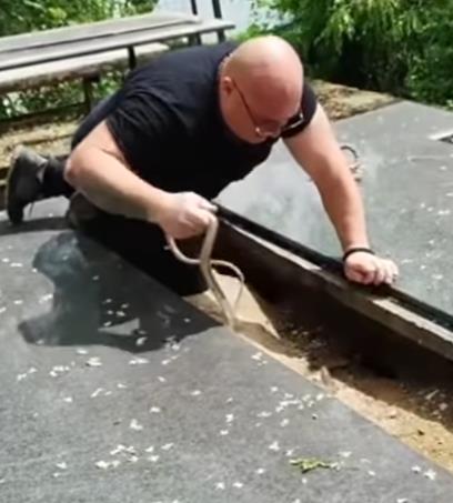 Screenshot 2026-03-09 160934.png