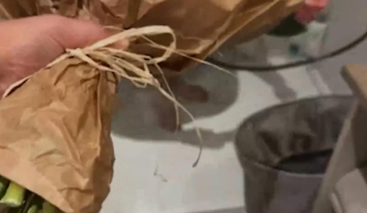 Marija Šerifović uletela Verici pod tuš