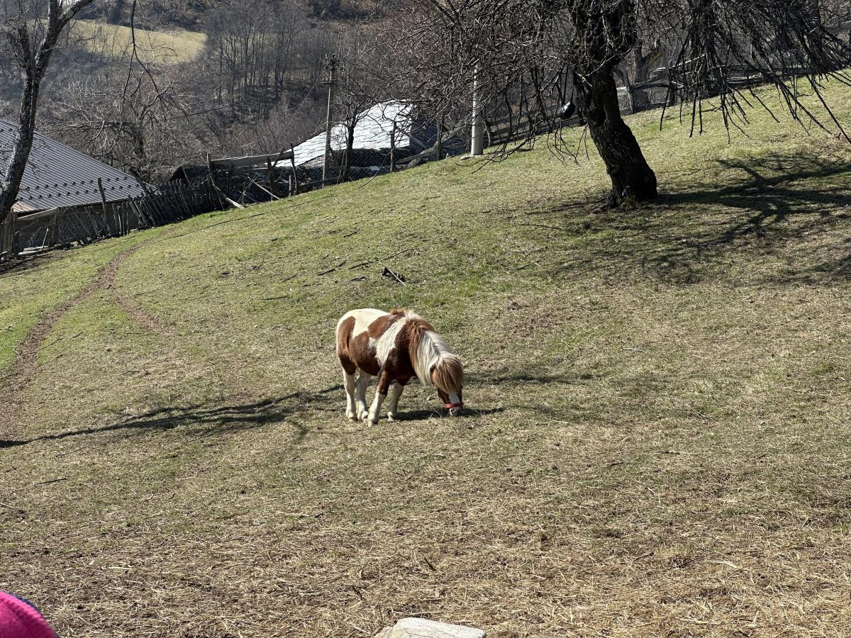 1773149608IVANJICA – Jovana Rajković, devojka koja je odlučila da ostane na selu - Foto -RINA66.jpg