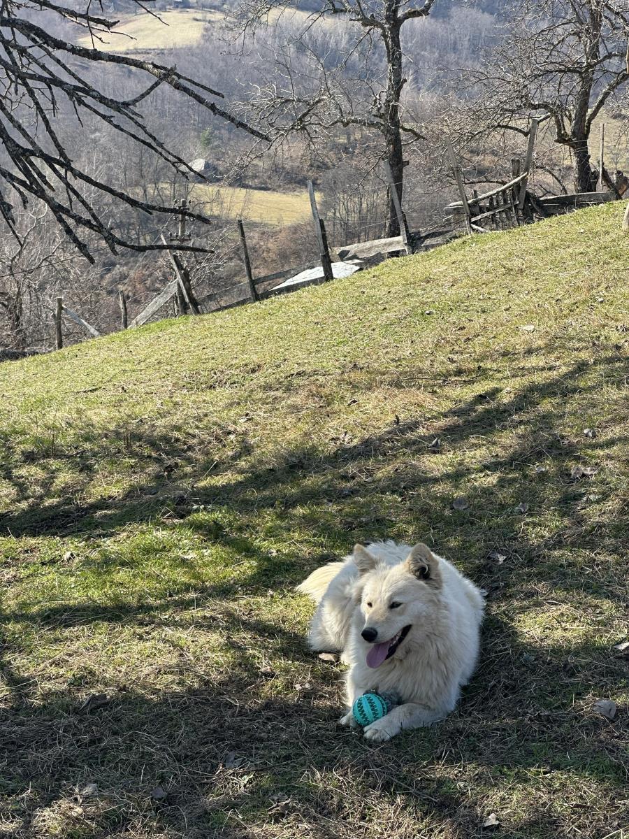1773149572IVANJICA – Jovana Rajković, devojka koja je odlučila da ostane na selu - Foto -RINA 3.jpg