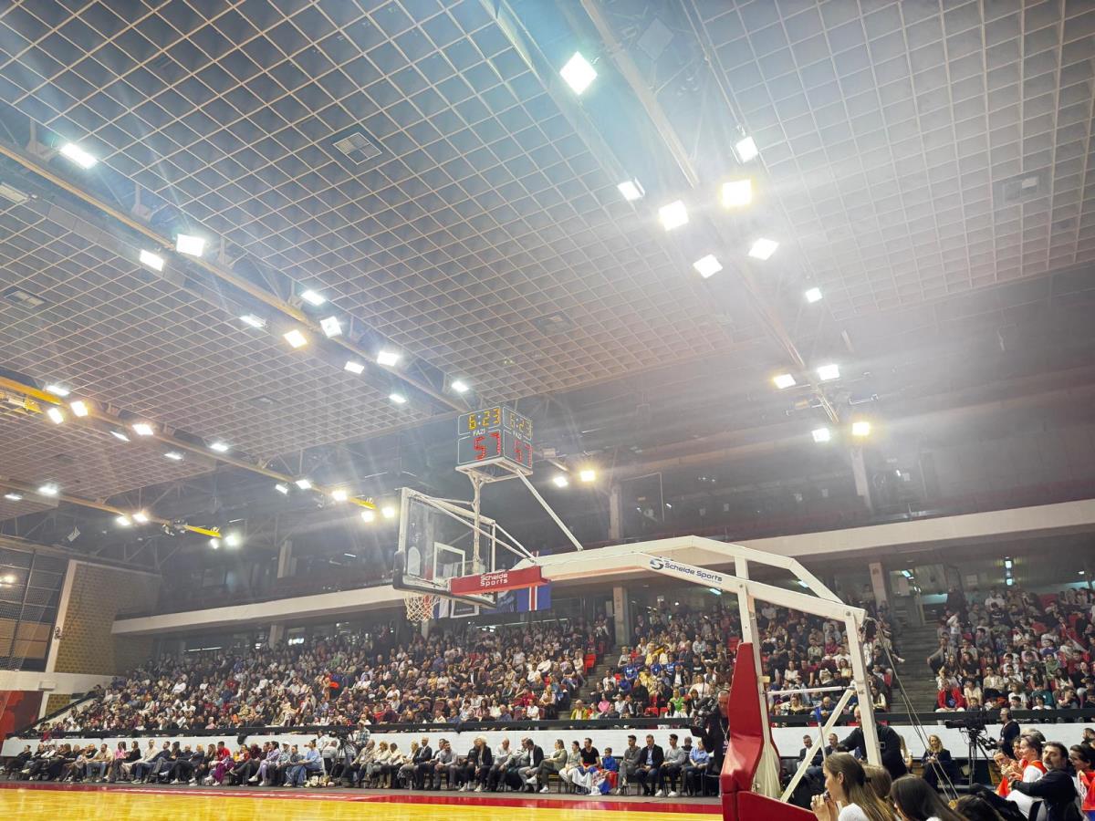 WhatsApp Image 2026-03-11 at 18.31.01.jpeg