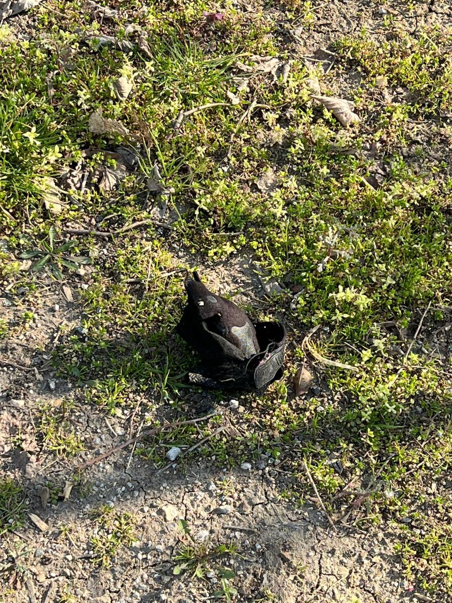 WhatsApp Image 2026-03-12 at 09.22.25.jpeg