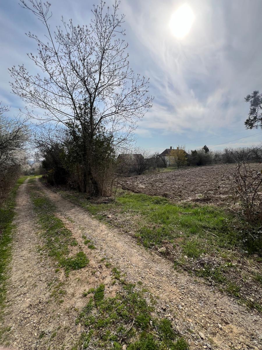 WhatsApp Image 2026-03-12 at 11.15.29 (2).jpeg