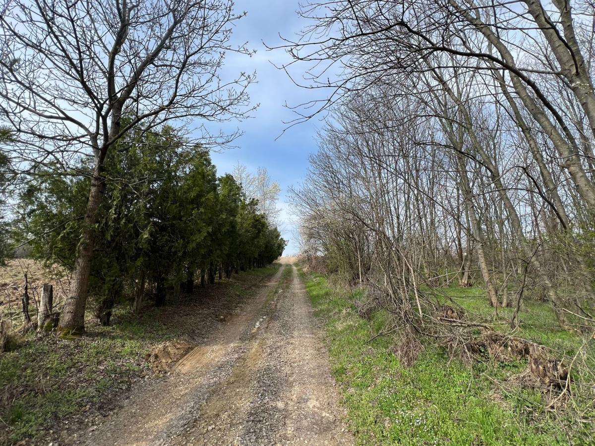 WhatsApp Image 2026-03-12 at 11.15.29 (1).jpeg