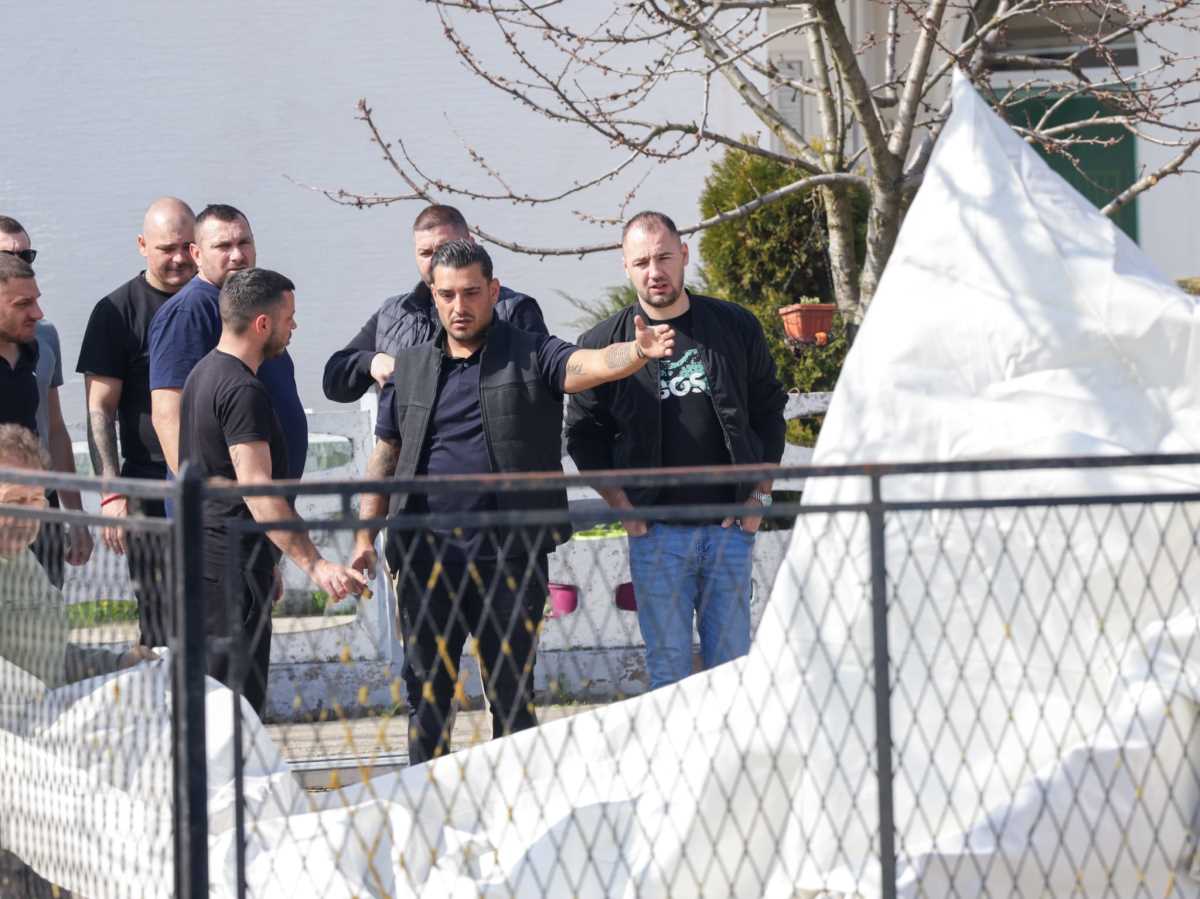 WhatsApp Image 2026-03-12 at 12.47.44 (1).jpeg