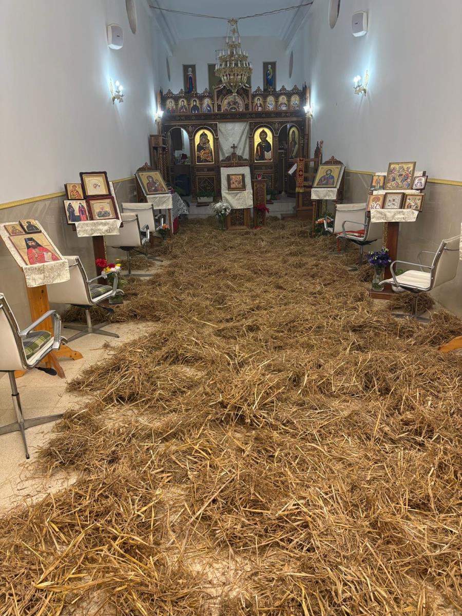 WhatsApp Image 2026-03-12 at 12.41.08.jpeg