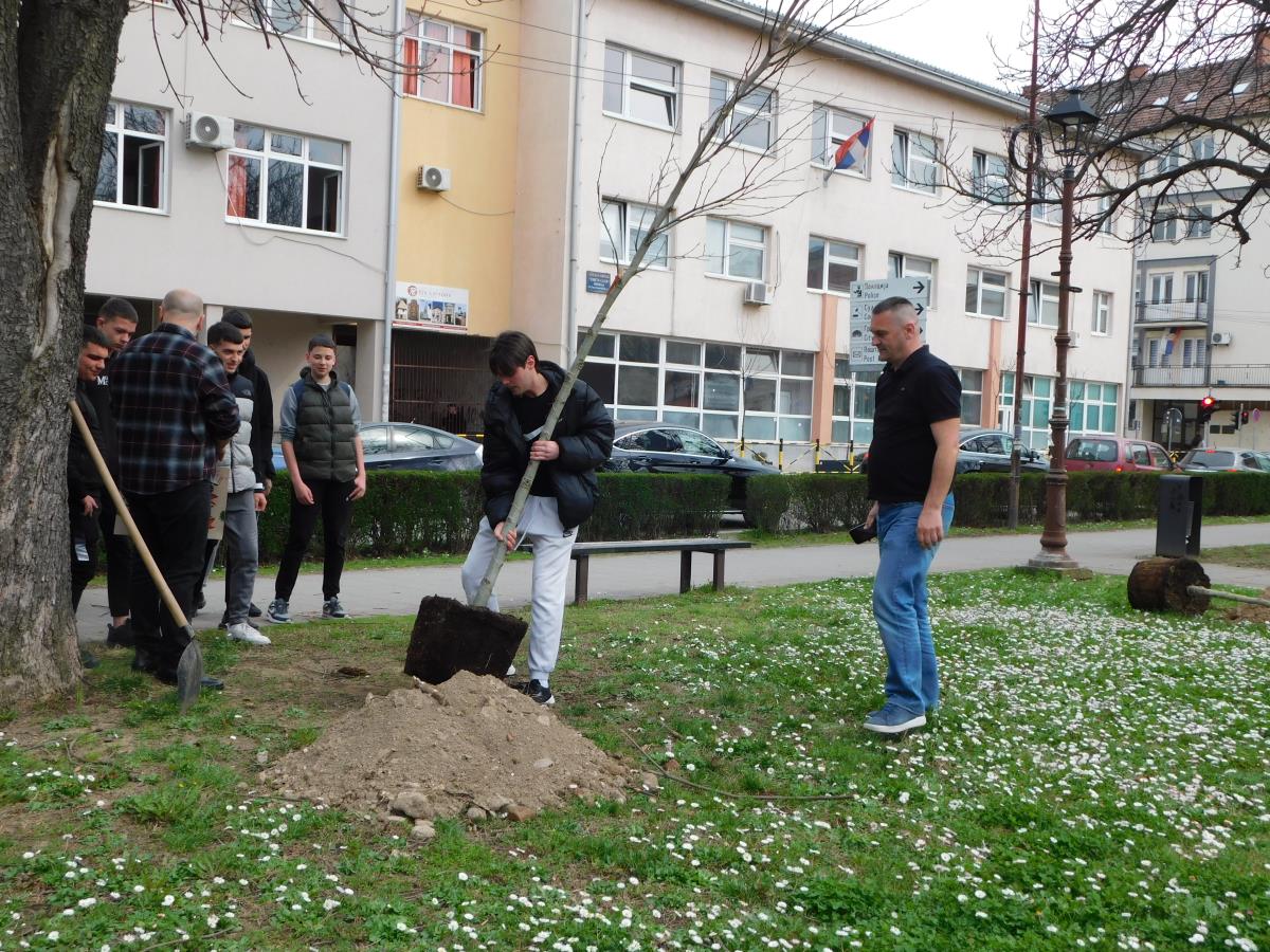 LOZNICA - Sadnja.JPG