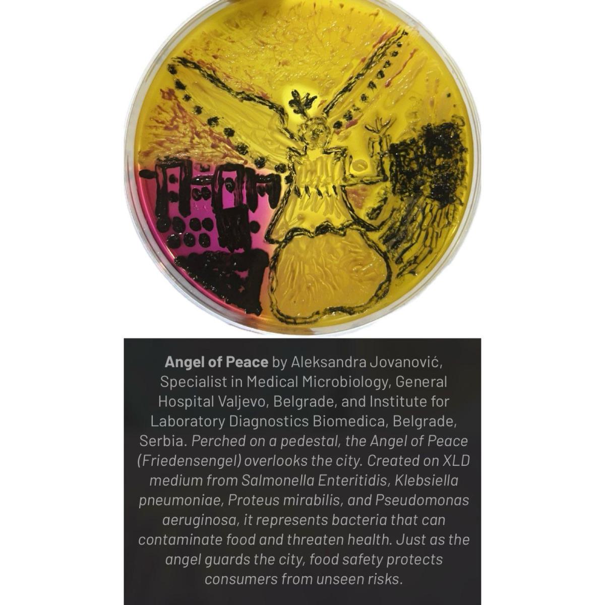 WhatsApp Image 2026-03-13 at 12.45.06.jpeg