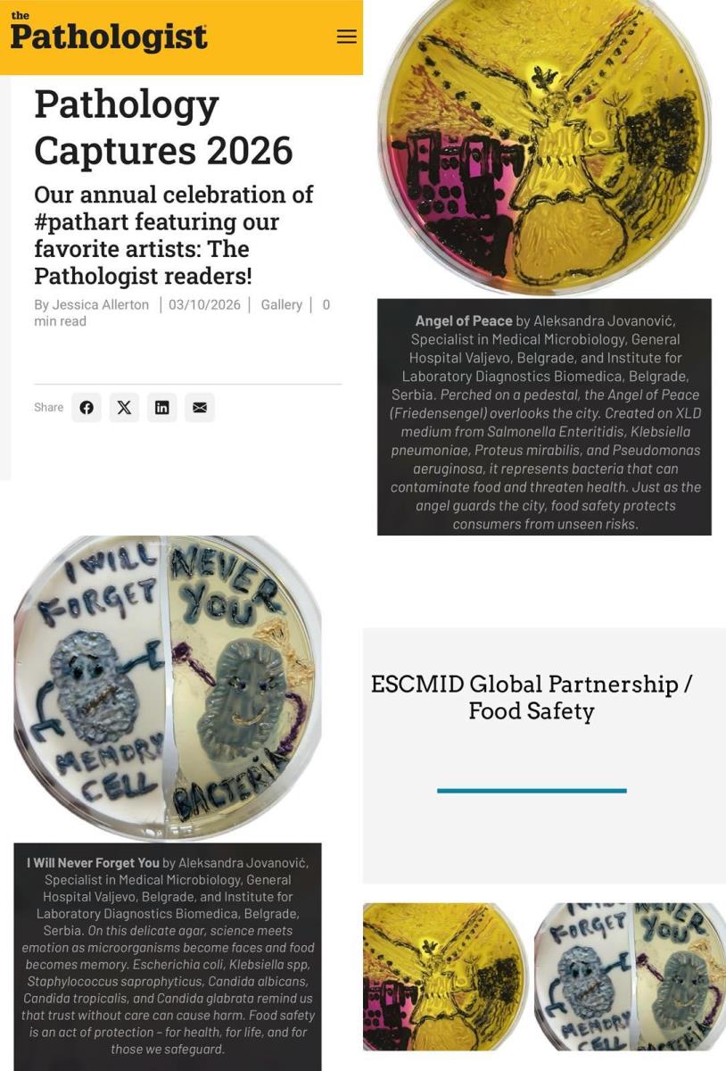 WhatsApp Image 2026-03-13 at 12.44.52.jpeg