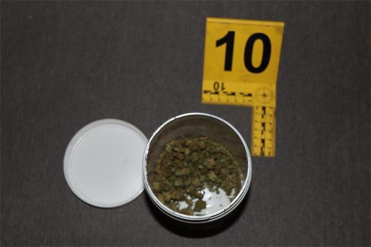 Marihuana konoplja (1).jpg