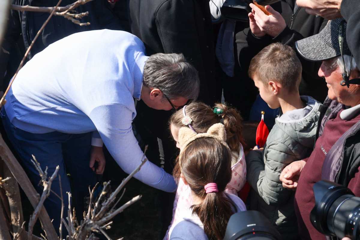 Aleksandar Vučić (2).jpeg