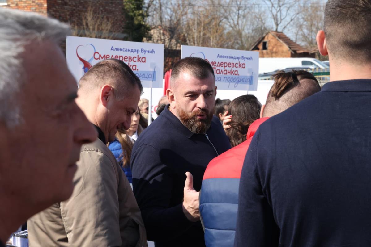 Aleksandar Vučić (3).jpeg