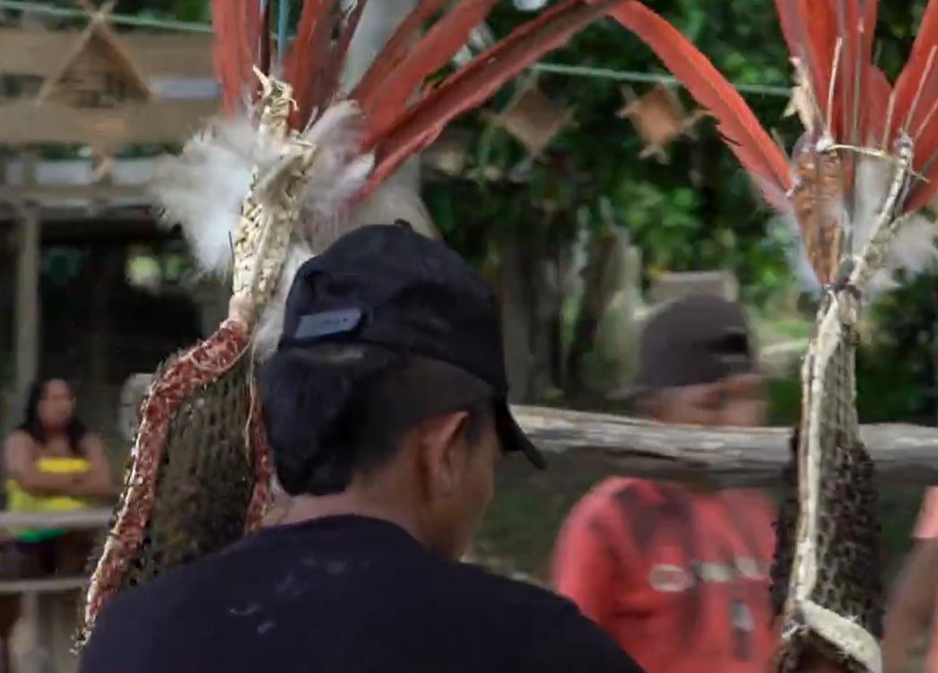 ritualu plemena Sateré-Mawé