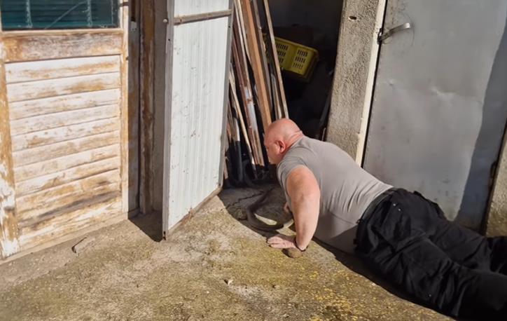 Screenshot 2026-03-14 204117.png