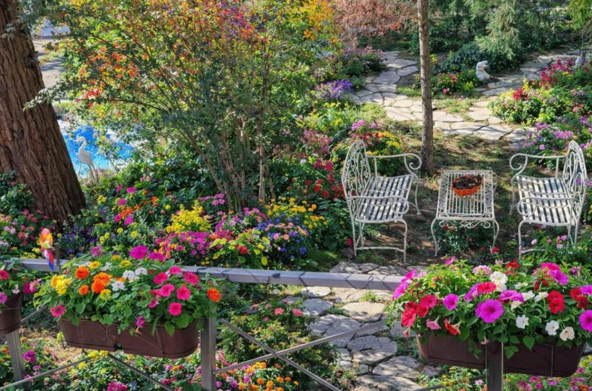 Screenshot 2026-03-15 102006.jpg