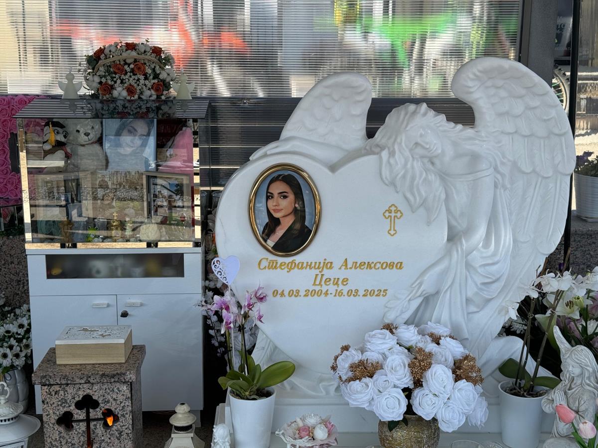 WhatsApp Image 2026-03-15 at 11.32.29.jpeg