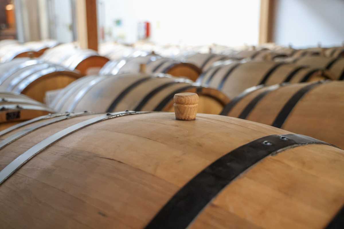 destilerija Bajina Bašta Klekovača (12).jpeg