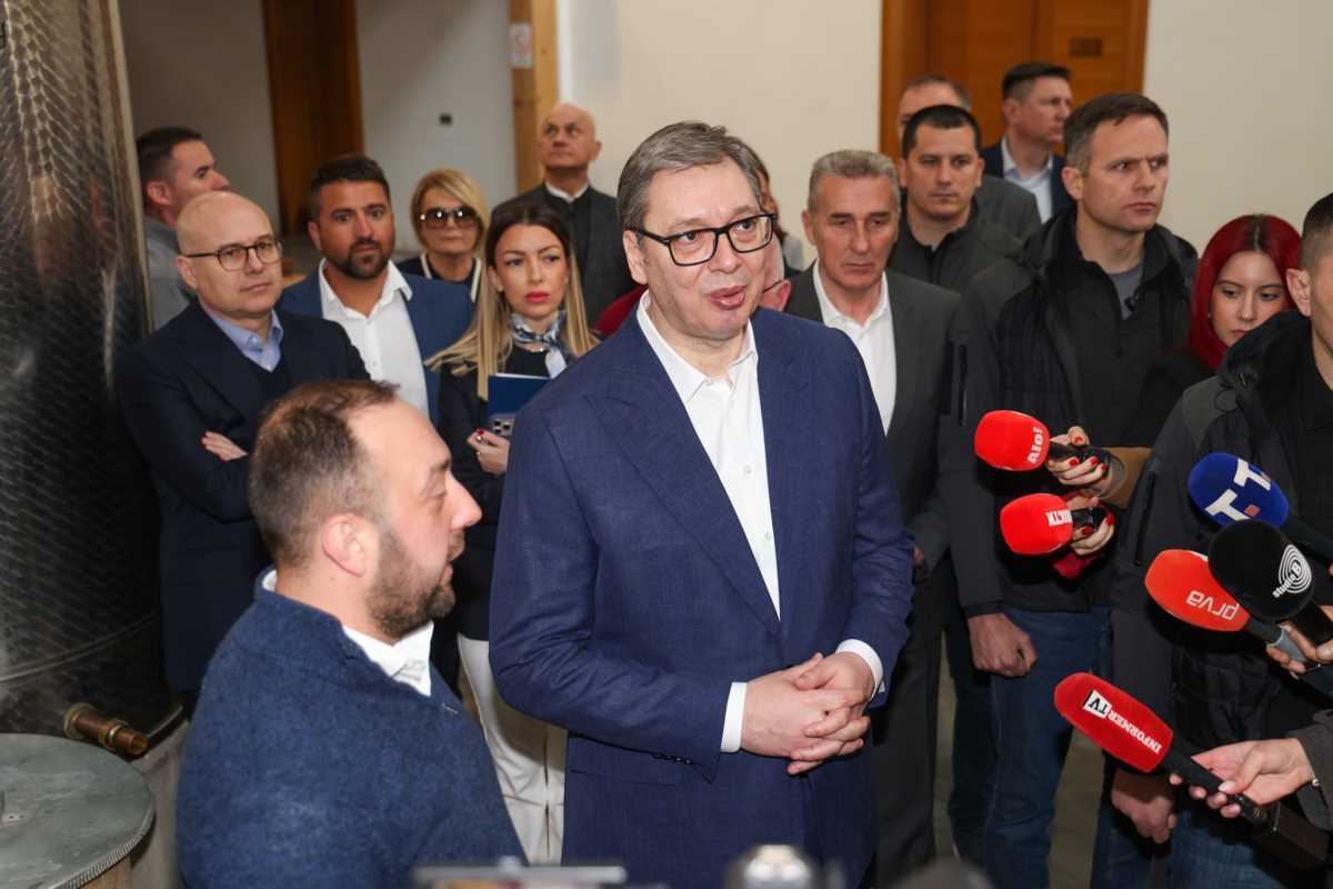 Aleksandar Vučić Bajina Bašta  (9).jpeg
