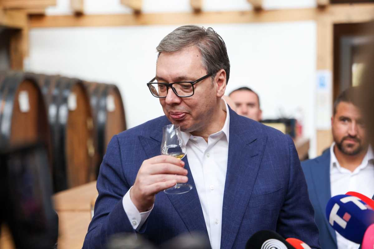 Aleksandar Vučić Bajina Bašta  (10).jpeg