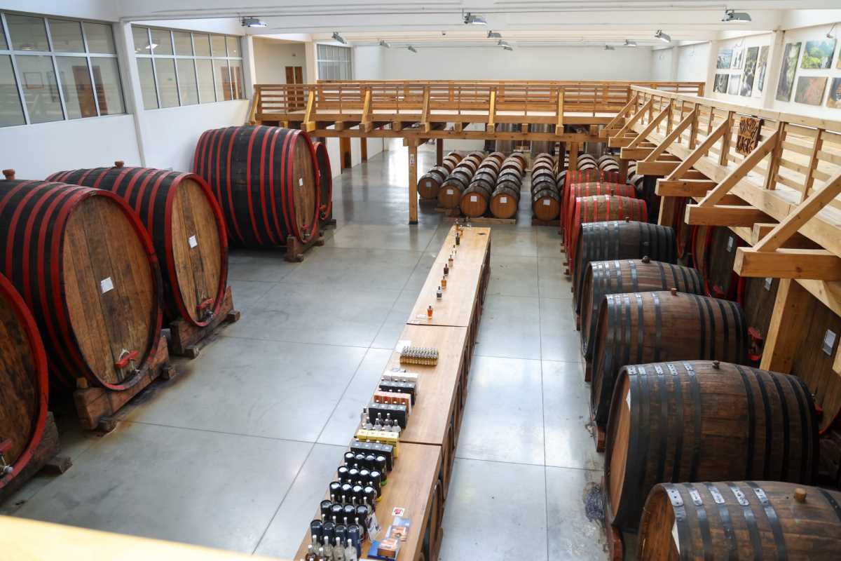 Aleksandar Vučić Bajina Bašta  (1).jpeg