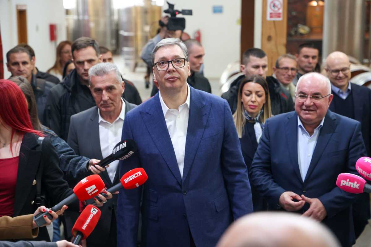 Aleksandar Vučić Bajina Bašta  (3).jpeg