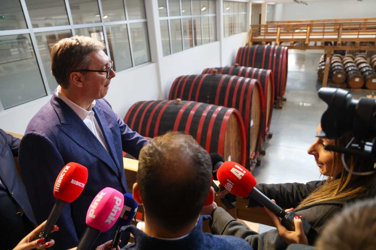 Aleksandar Vučić Bajina Bašta  (6).jpeg