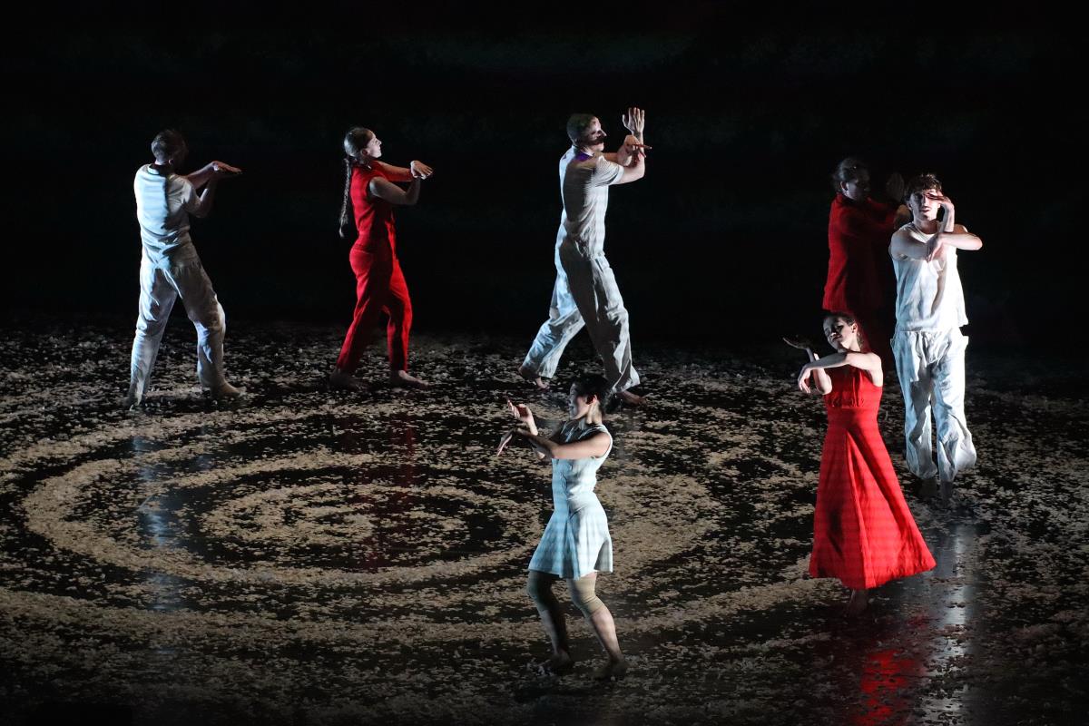 1 IMG_0038 Duško Vukić.JPG