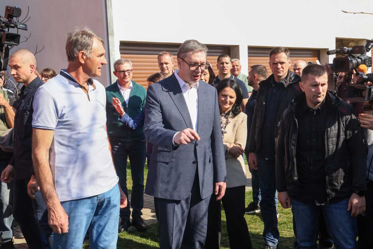 WhatsApp Image 2026-03-16 at 14.16.57 (3).jpeg