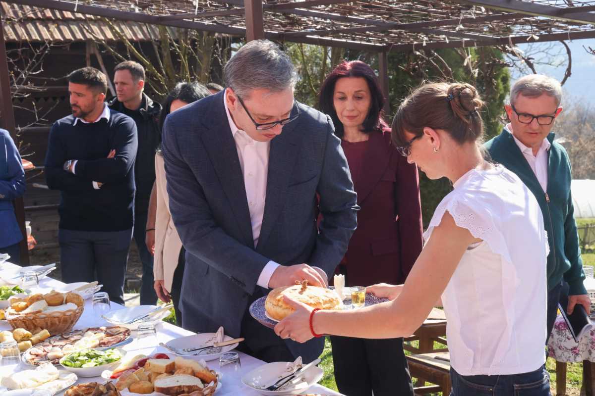 WhatsApp Image 2026-03-16 at 14.16.55 (2).jpeg