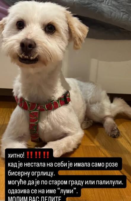 Screenshot 2026-03-16 143057.png